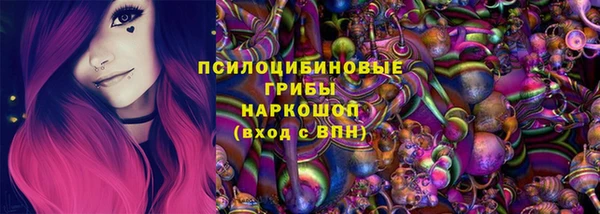 мдпв Кулебаки