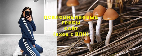 мдпв Кулебаки