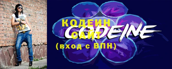 мдпв Кулебаки