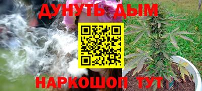 Альфа ПВП Лесосибирск