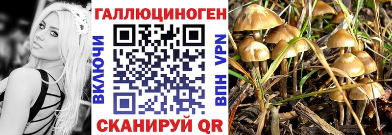 Псилоцибиновые грибы Magic Shrooms  Старая Купавна 