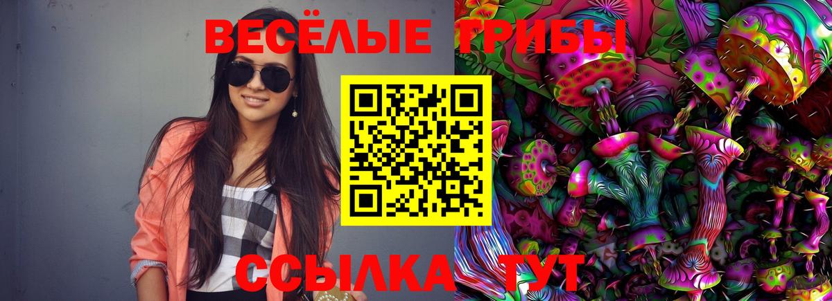 Старая Купавна  Галлюциногенные грибы прущие грибы  Вход с VPN  где можно купить наркотик  Псилоцибиновые грибы Psilocybe 
